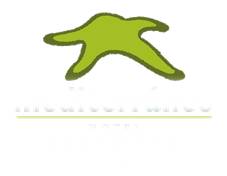 Hotel Mediterraneo en Benidorm